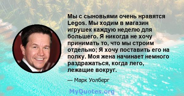 Мы с сыновьями очень нравятся Legos. Мы ходим в магазин игрушек каждую неделю для большего. Я никогда не хочу принимать то, что мы строим отдельно; Я хочу поставить его на полку. Моя жена начинает немного раздражаться,