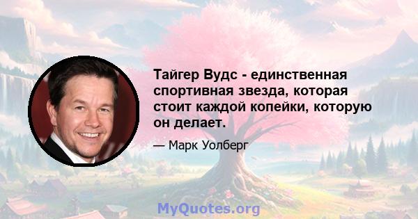 Тайгер Вудс - единственная спортивная звезда, которая стоит каждой копейки, которую он делает.