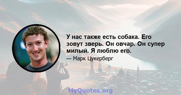 У нас также есть собака. Его зовут зверь. Он овчар. Он супер милый. Я люблю его.