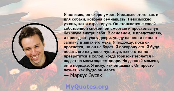 Я полагаю, он скоро умрет. Я ожидаю этого, как и для собаки, которая семнадцать. Невозможно узнать, как я отреагирую. Он столкнется с своей собственной спокойной смертью и проскользнул без звука внутри себя. В основном, 