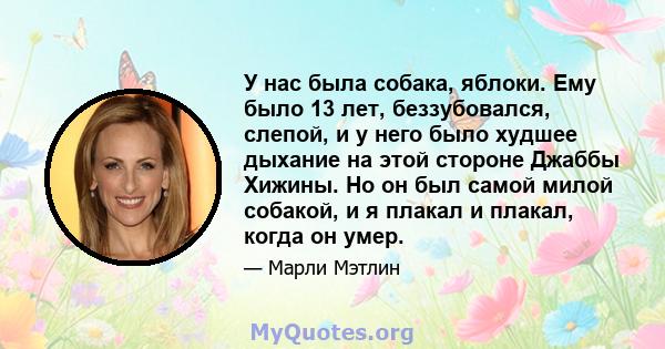 У нас была собака, яблоки. Ему было 13 лет, беззубовался, слепой, и у него было худшее дыхание на этой стороне Джаббы Хижины. Но он был самой милой собакой, и я плакал и плакал, когда он умер.