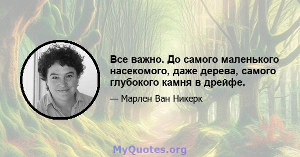 Все важно. До самого маленького насекомого, даже дерева, самого глубокого камня в дрейфе.