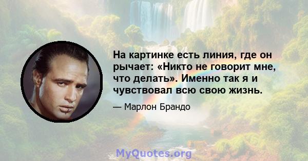 На картинке есть линия, где он рычает: «Никто не говорит мне, что делать». Именно так я и чувствовал всю свою жизнь.