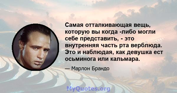 Самая отталкивающая вещь, которую вы когда -либо могли себе представить, - это внутренняя часть рта верблюда. Это и наблюдая, как девушка ест осьминога или кальмара.