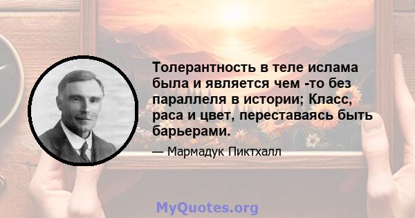 Толерантность в теле ислама была и является чем -то без параллеля в истории; Класс, раса и цвет, переставаясь быть барьерами.