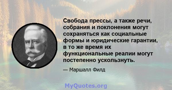 Свобода прессы, а также речи, собрания и поклонения могут сохраняться как социальные формы и юридические гарантии, в то же время их функциональные реалии могут постепенно ускользнуть.