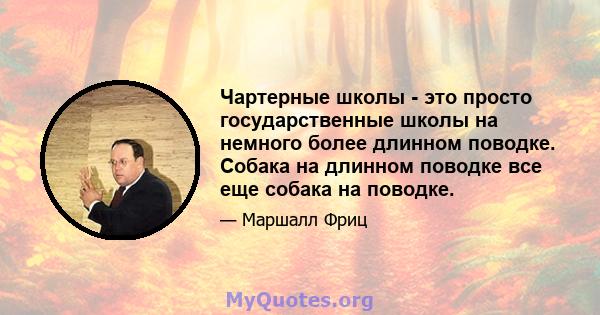 Чартерные школы - это просто государственные школы на немного более длинном поводке. Собака на длинном поводке все еще собака на поводке.