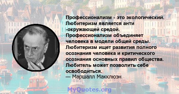 Профессионализм - это экологический. Любитеризм является анти -окружающей средой. Профессионализм объединяет человека в модели общей среды. Любитеризм ищет развития полного осознания человека и критического осознания