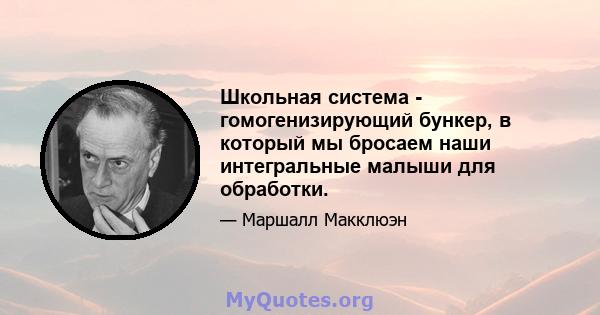 Школьная система - гомогенизирующий бункер, в который мы бросаем наши интегральные малыши для обработки.