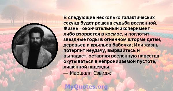 В следующие несколько галактических секунд будет решена судьба вселенной. Жизнь - окончательный эксперимент - либо взорвется в космос, и поглотит звездные годы в огненном шторме детей, деревьев и крыльев бабочки; Или