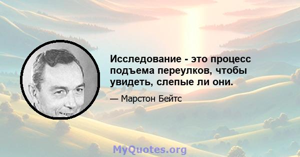 Исследование - это процесс подъема переулков, чтобы увидеть, слепые ли они.