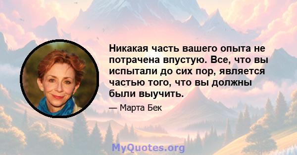 Никакая часть вашего опыта не потрачена впустую. Все, что вы испытали до сих пор, является частью того, что вы должны были выучить.