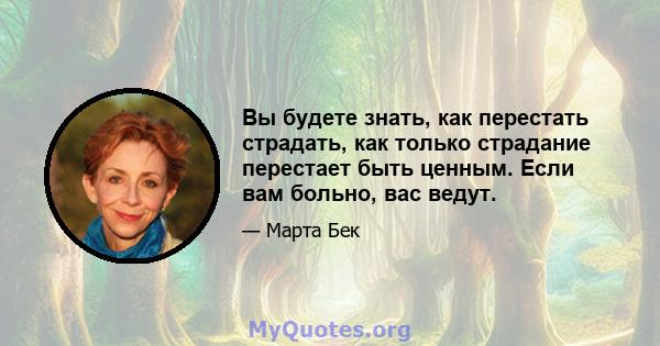 Вы будете знать, как перестать страдать, как только страдание перестает быть ценным. Если вам больно, вас ведут.