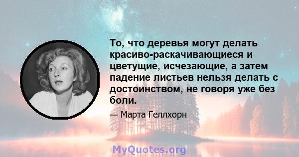 То, что деревья могут делать красиво-раскачивающиеся и цветущие, исчезающие, а затем падение листьев нельзя делать с достоинством, не говоря уже без боли.