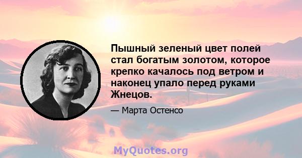 Пышный зеленый цвет полей стал богатым золотом, которое крепко качалось под ветром и наконец упало перед руками Жнецов.