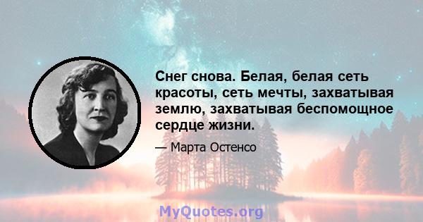 Снег снова. Белая, белая сеть красоты, сеть мечты, захватывая землю, захватывая беспомощное сердце жизни.