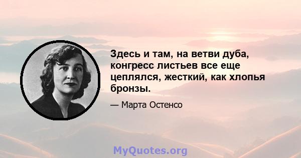 Здесь и там, на ветви дуба, конгресс листьев все еще цеплялся, жесткий, как хлопья бронзы.