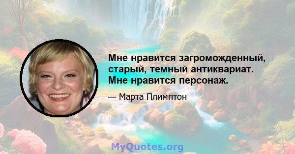 Мне нравится загроможденный, старый, темный антиквариат. Мне нравится персонаж.