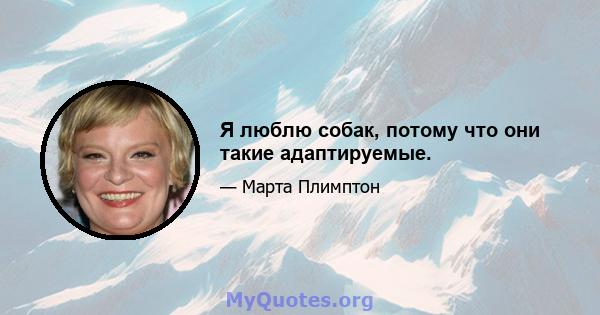 Я люблю собак, потому что они такие адаптируемые.