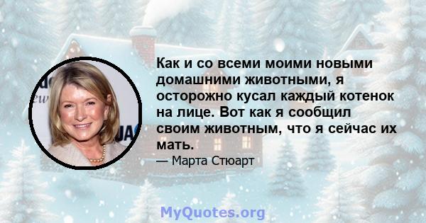 Как и со всеми моими новыми домашними животными, я осторожно кусал каждый котенок на лице. Вот как я сообщил своим животным, что я сейчас их мать.