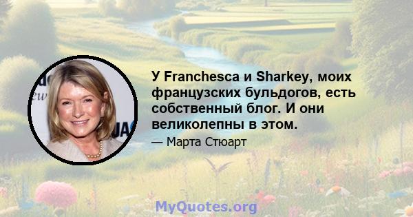 У Franchesca и Sharkey, моих французских бульдогов, есть собственный блог. И они великолепны в этом.