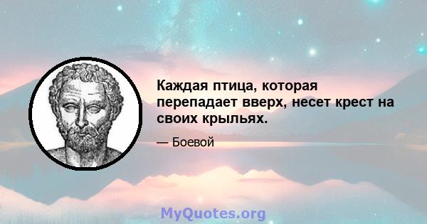 Каждая птица, которая перепадает вверх, несет крест на своих крыльях.