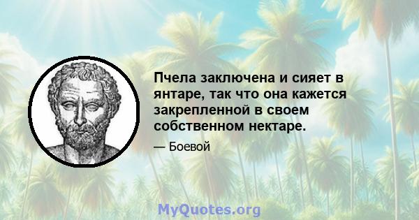 Пчела заключена и сияет в янтаре, так что она кажется закрепленной в своем собственном нектаре.