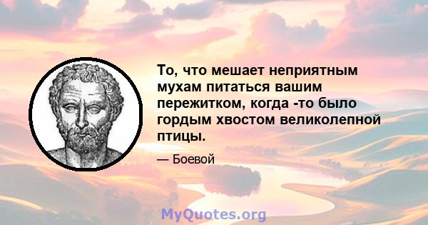 То, что мешает неприятным мухам питаться вашим пережитком, когда -то было гордым хвостом великолепной птицы.