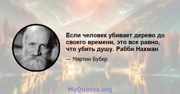 Если человек убивает дерево до своего времени, это все равно, что убить душу. Рабби Нахман