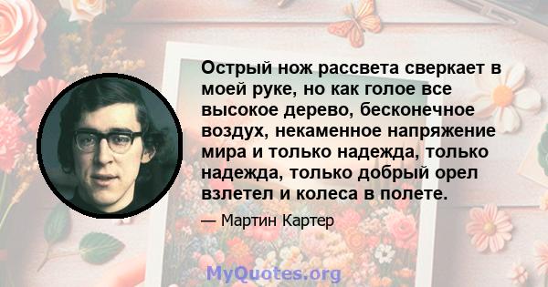 Острый нож рассвета сверкает в моей руке, но как голое все высокое дерево, бесконечное воздух, некаменное напряжение мира и только надежда, только надежда, только добрый орел взлетел и колеса в полете.