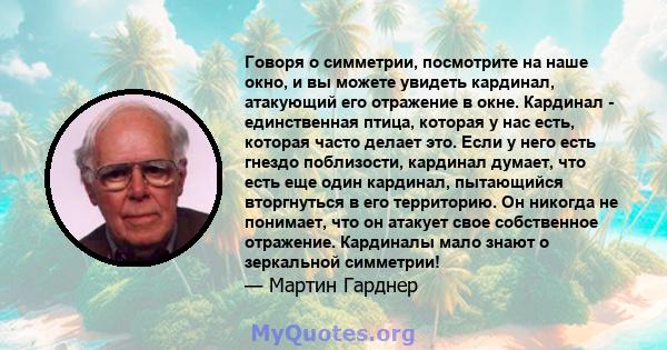 Говоря о симметрии, посмотрите на наше окно, и вы можете увидеть кардинал, атакующий его отражение в окне. Кардинал - единственная птица, которая у нас есть, которая часто делает это. Если у него есть гнездо поблизости, 