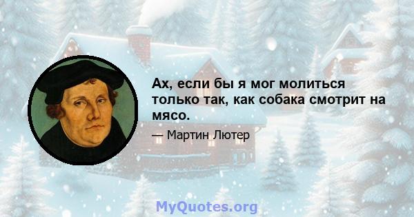 Ах, если бы я мог молиться только так, как собака смотрит на мясо.