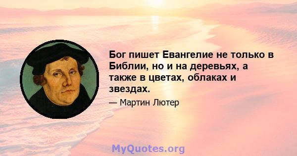 Бог пишет Евангелие не только в Библии, но и на деревьях, а также в цветах, облаках и звездах.