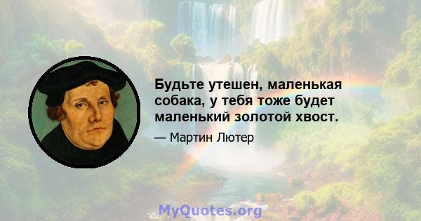 Будьте утешен, маленькая собака, у тебя тоже будет маленький золотой хвост.