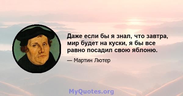 Даже если бы я знал, что завтра, мир будет на куски, я бы все равно посадил свою яблоню.