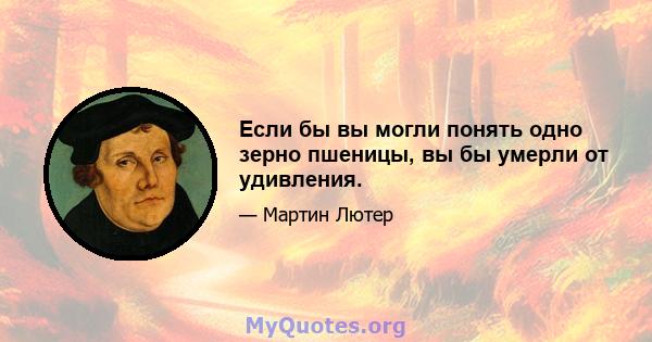 Если бы вы могли понять одно зерно пшеницы, вы бы умерли от удивления.