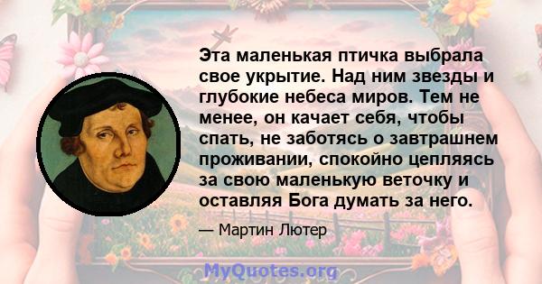 Эта маленькая птичка выбрала свое укрытие. Над ним звезды и глубокие небеса миров. Тем не менее, он качает себя, чтобы спать, не заботясь о завтрашнем проживании, спокойно цепляясь за свою маленькую веточку и оставляя