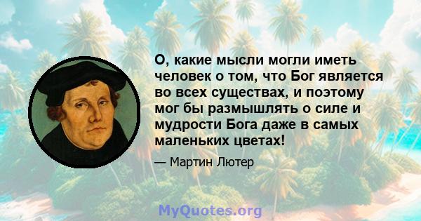 О, какие мысли могли иметь человек о том, что Бог является во всех существах, и поэтому мог бы размышлять о силе и мудрости Бога даже в самых маленьких цветах!