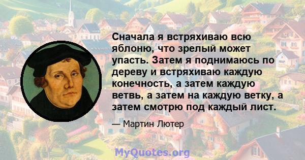 Сначала я встряхиваю всю яблоню, что зрелый может упасть. Затем я поднимаюсь по дереву и встряхиваю каждую конечность, а затем каждую ветвь, а затем на каждую ветку, а затем смотрю под каждый лист.