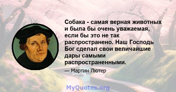 Собака - самая верная животных и была бы очень уважаемая, если бы это не так распространено. Наш Господь Бог сделал свои величайшие дары самыми распространенными.