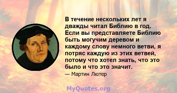 В течение нескольких лет я дважды читал Библию в год. Если вы представляете Библию быть могучим деревом и каждому слову немного ветви, я потряс каждую из этих ветвей, потому что хотел знать, что это было и что это