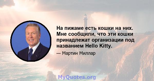 На пижаме есть кошки на них. Мне сообщили, что эти кошки принадлежат организации под названием Hello Kitty.