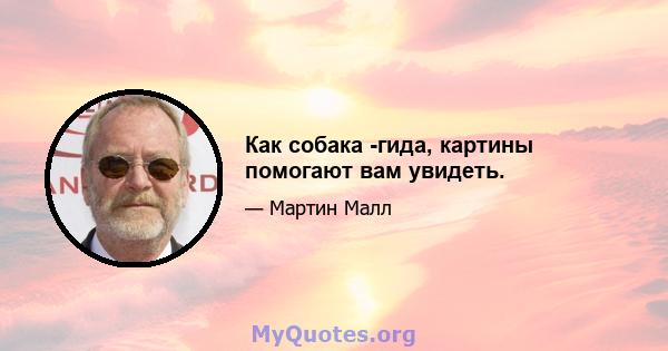 Как собака -гида, картины помогают вам увидеть.