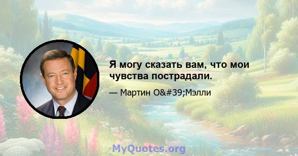 Я могу сказать вам, что мои чувства пострадали.