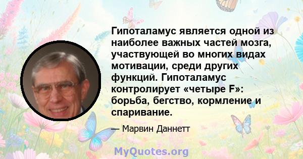 Гипоталамус является одной из наиболее важных частей мозга, участвующей во многих видах мотивации, среди других функций. Гипоталамус контролирует «четыре F»: борьба, бегство, кормление и спаривание.