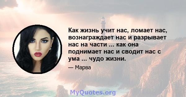 Как жизнь учит нас, ломает нас, вознаграждает нас и разрывает нас на части ... как она поднимает нас и сводит нас с ума ... чудо жизни.