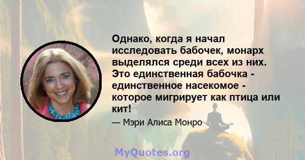 Однако, когда я начал исследовать бабочек, монарх выделялся среди всех из них. Это единственная бабочка - единственное насекомое - которое мигрирует как птица или кит!