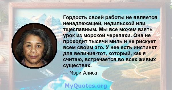 Гордость своей работы не является ненадлежащей, недильской или тщеславным. Мы все можем взять урок из морской черепахи. Она не проходит тысячи миль и не рискует всем своим эго. У нее есть инстинкт для величия-тот,