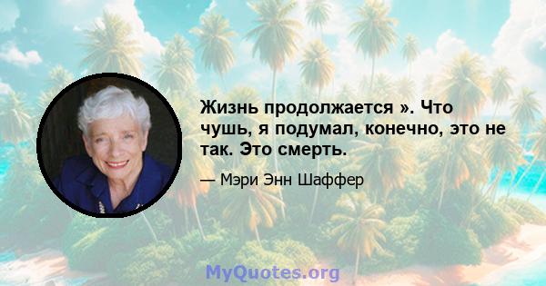 Жизнь продолжается ». Что чушь, я подумал, конечно, это не так. Это смерть.