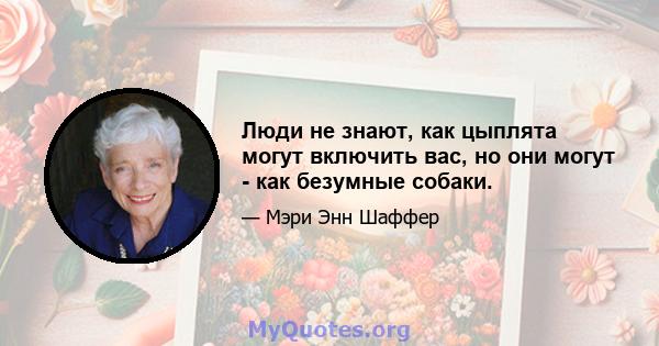 Люди не знают, как цыплята могут включить вас, но они могут - как безумные собаки.